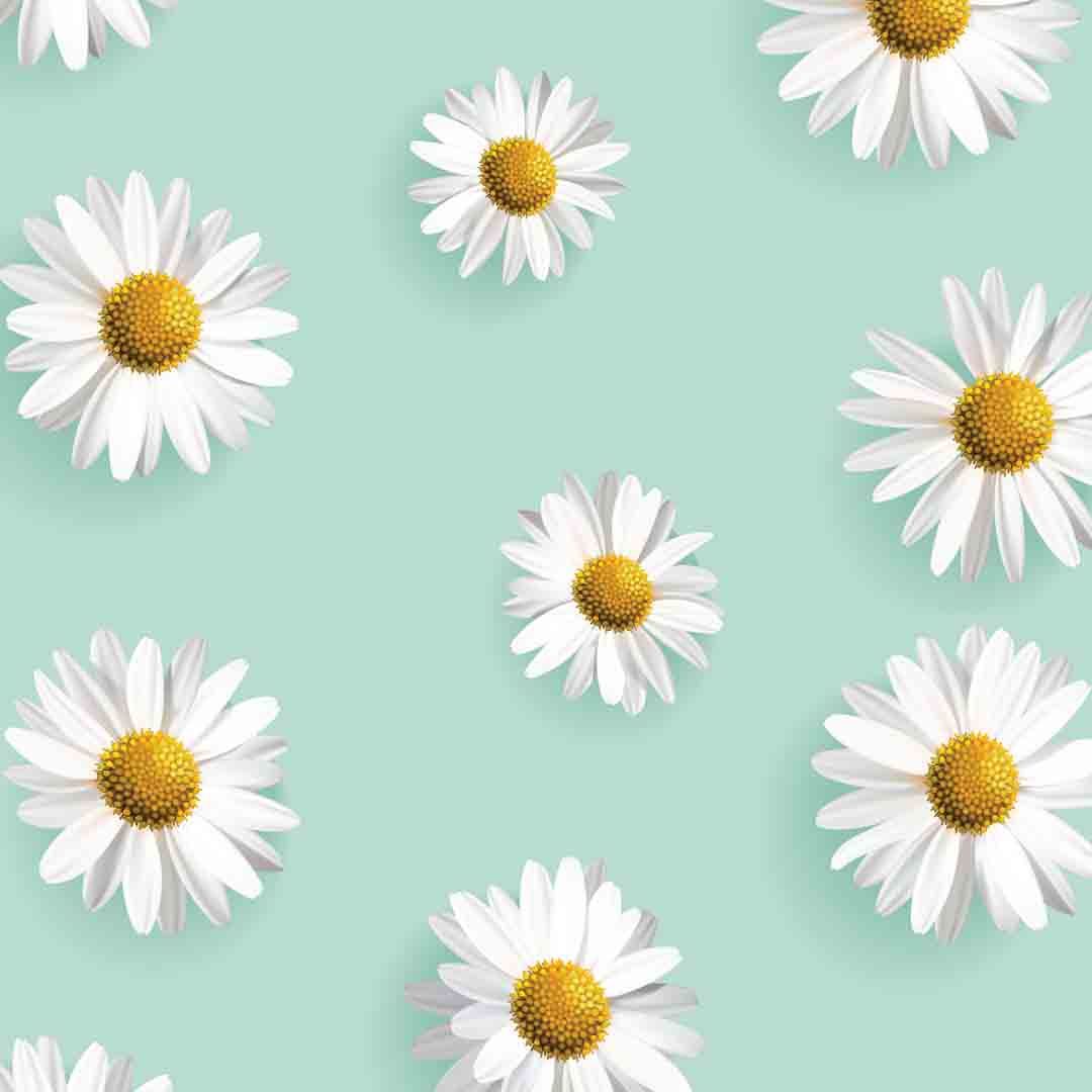 Pureborn Nappy | Size 4 | 7 - 12 Kg | Assorted Prints