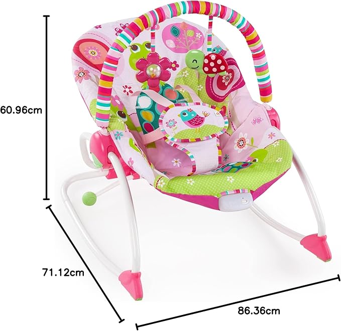 Bright Starts - Raspberry Garden Rocker | 0-30 M
