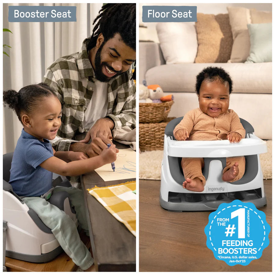 Ingenuity - Baby Base 2In1 Seat | Slate | 6M-3Y
