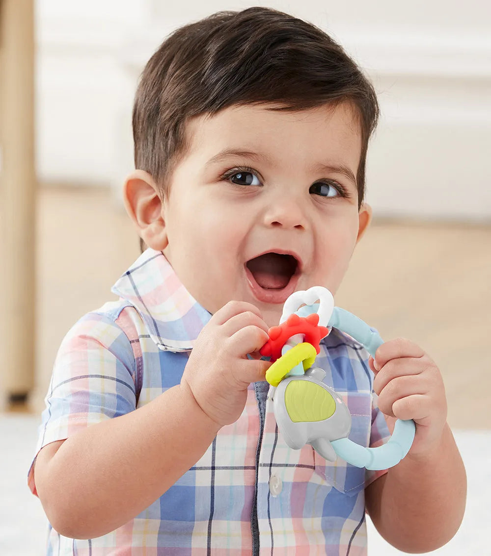 Skip Hop - Silver Lining Cloud Teethe & Play Toy | Bird