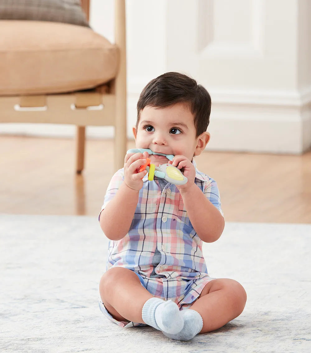 Skip Hop - Silver Lining Cloud Teethe & Play Toy | Bird