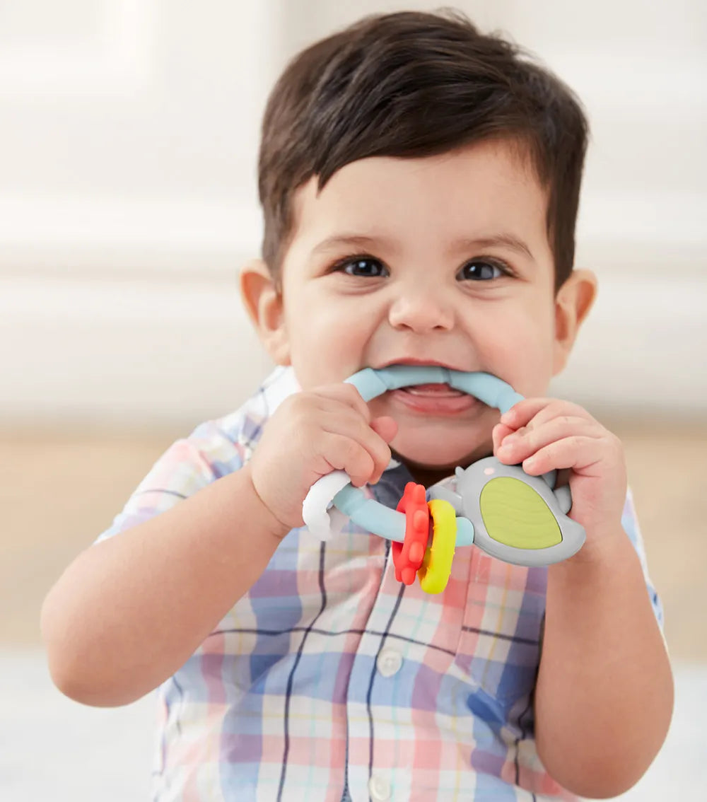 Skip Hop - Silver Lining Cloud Teethe & Play Toy | Bird