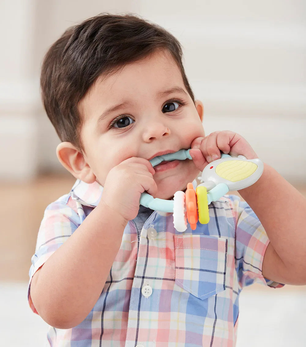 Skip Hop - Silver Lining Cloud Teethe & Play Toy | Bird