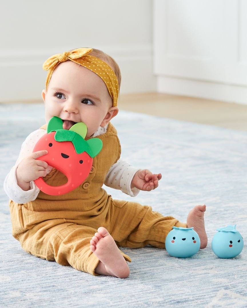 Skip Hop - Farmstand Berry Cute Band