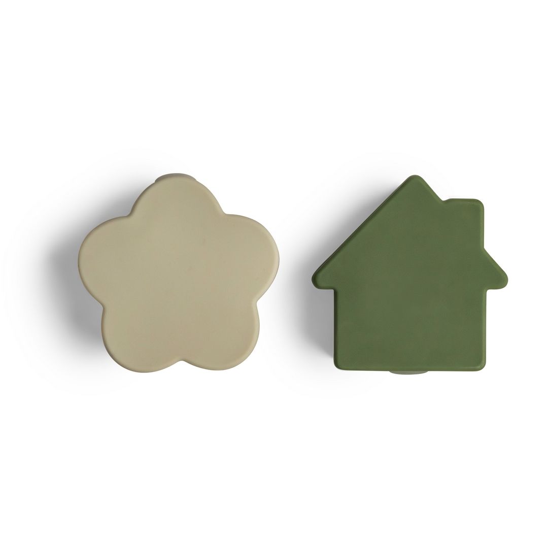 Citron - 2023 Silicone Lunch Box Organizers Set Of 4