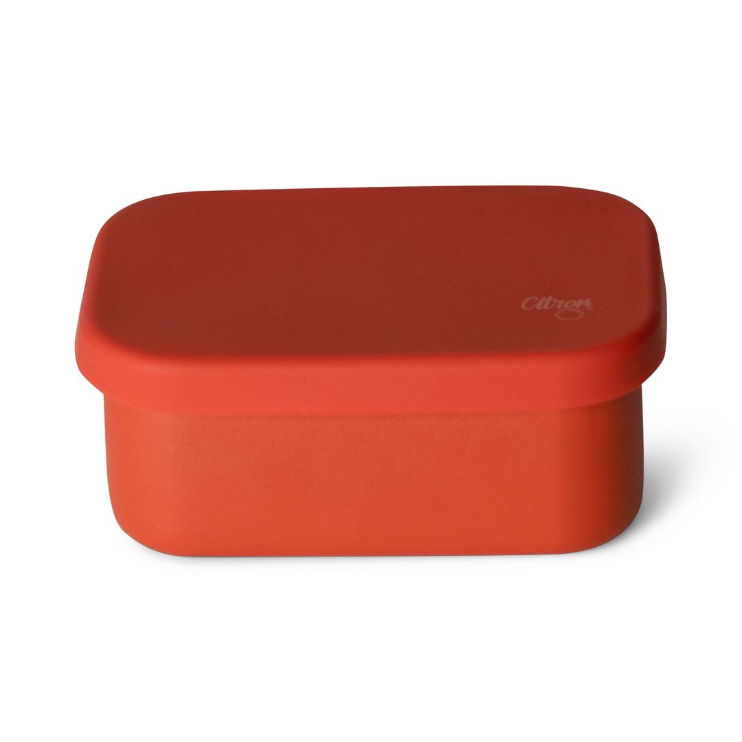 Citron - 2023 Mini Stainless Steel Snack Box | Brick