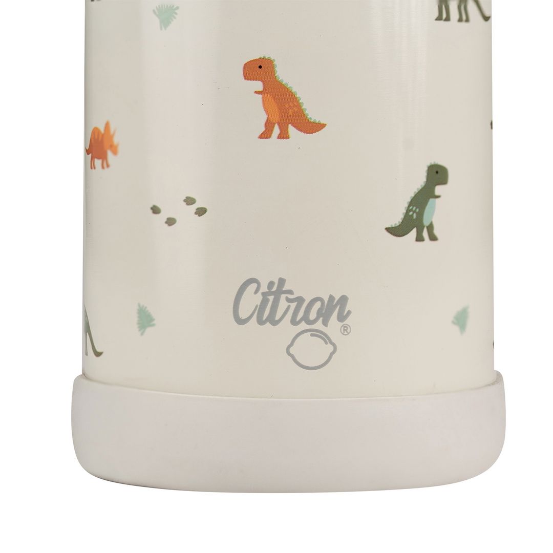 Citron - 2022 SS Water Bottle 350ml
