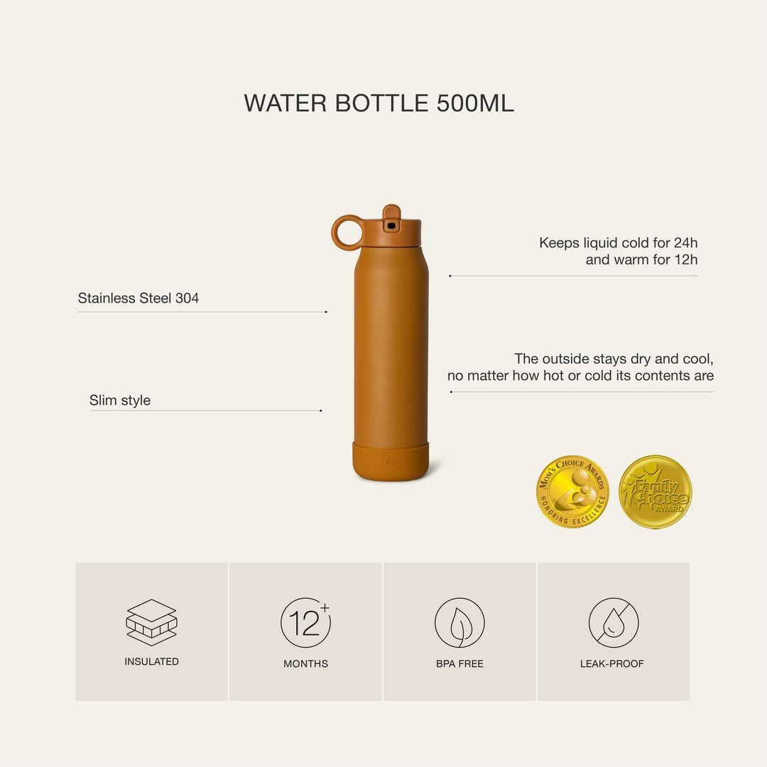 Citron - 2023 Stainless Steel Water Bottle 350ml