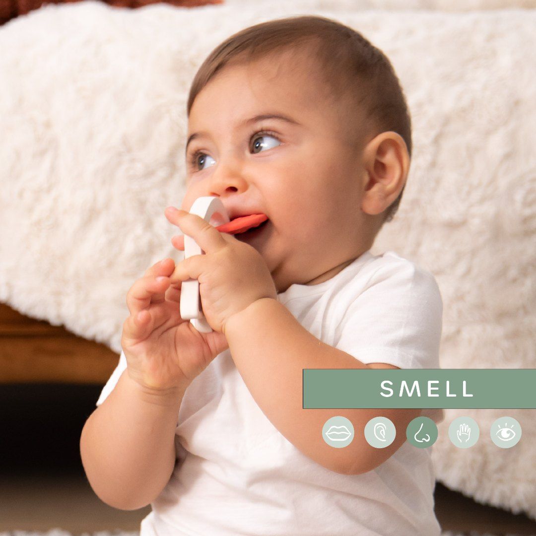 Sophie La Girafe - Slg Fragrances Ring Sophie La Girafe - Sense Of Smell