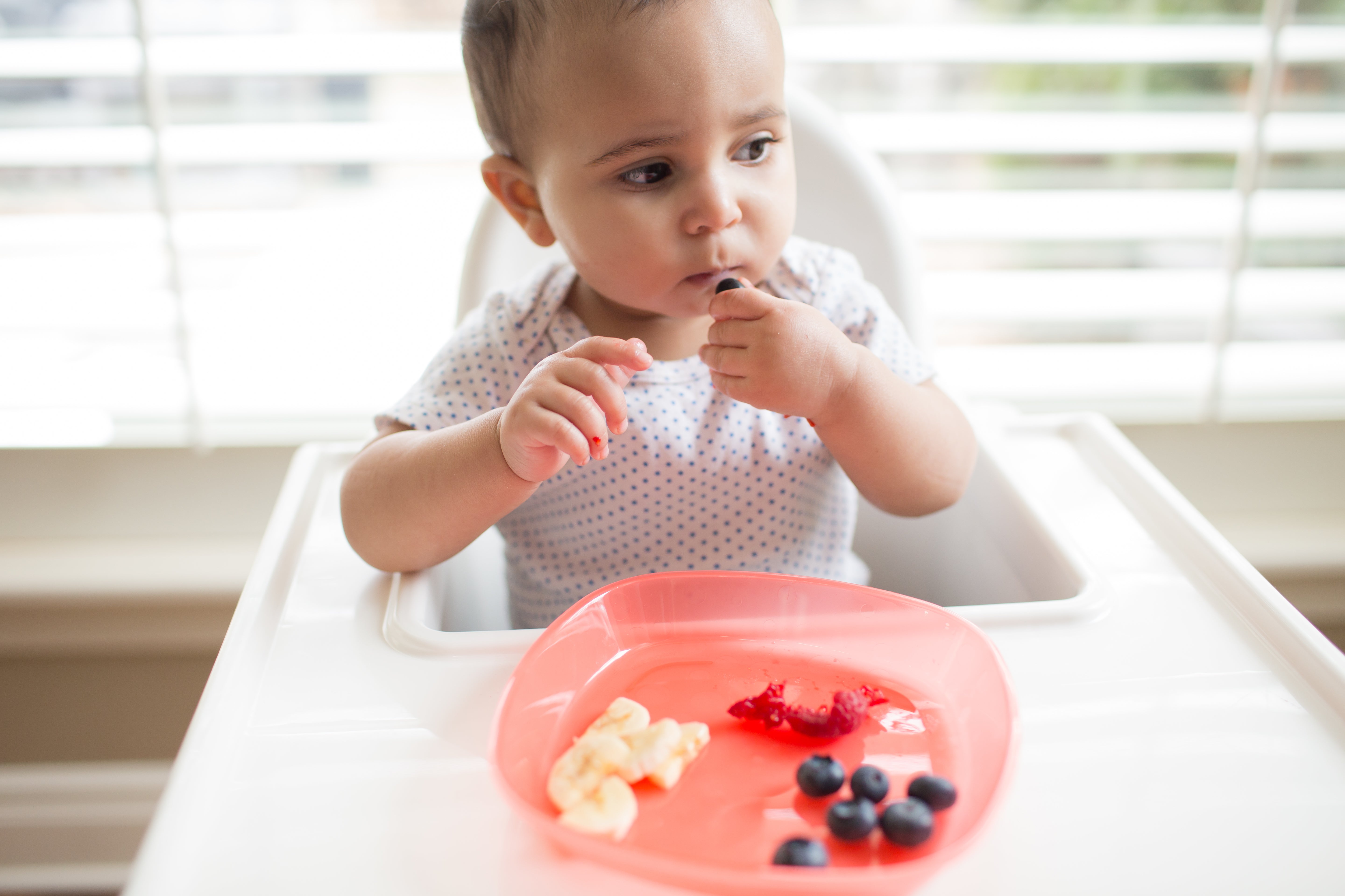Dr Browns - Toddler Plates